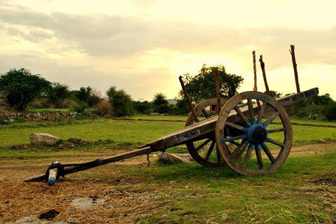 Village life