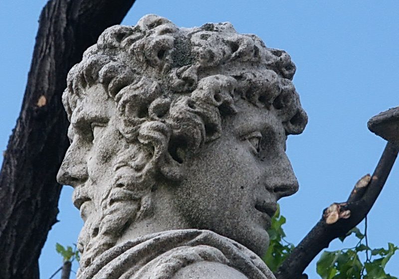 Janus